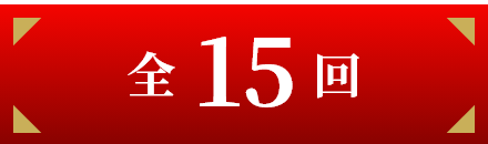 全15回
